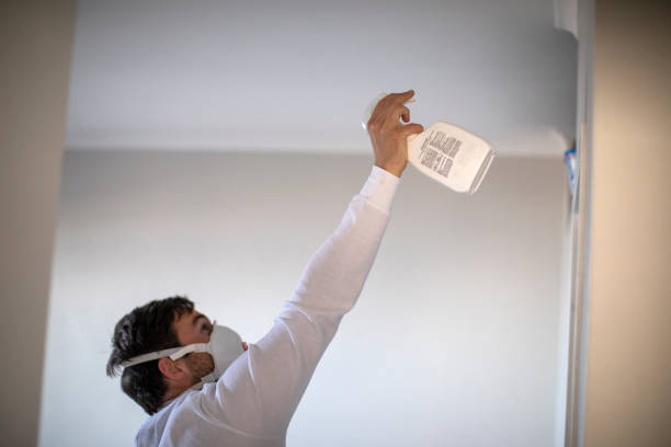Best Mold Remediation  in Dixmoor, IL
