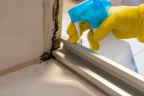 Best Mold Testing  in Dixmoor, IL