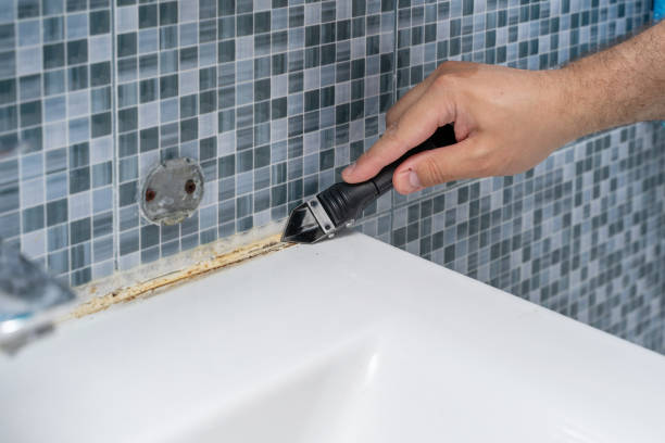 Best Mold Removal Company Near Me  in Dixmoor, IL